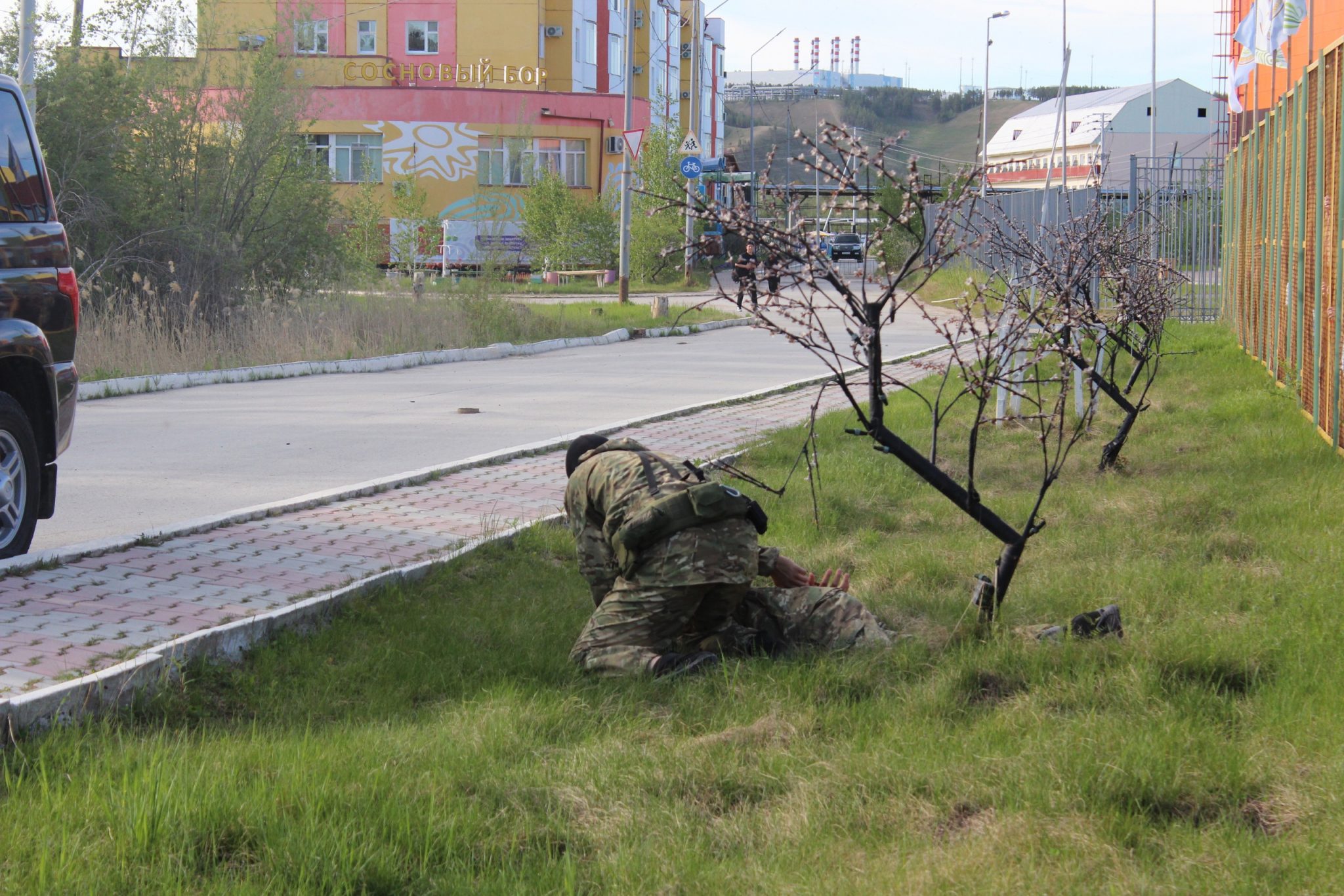Стол находок в сосновом бору ленинградской области